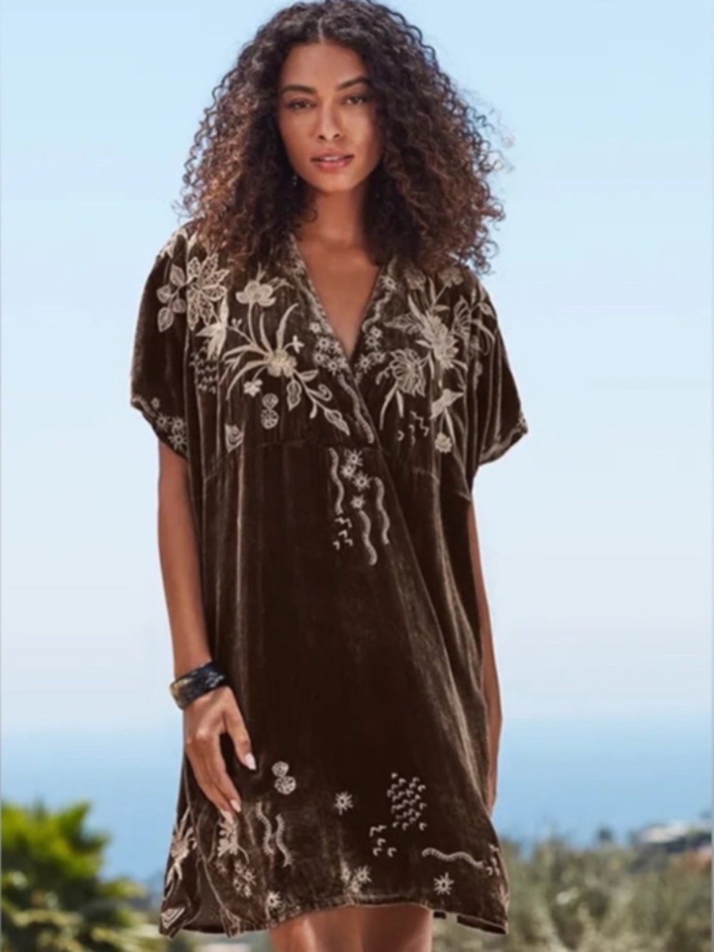 Johnny Was Embroidered Velvet Dress